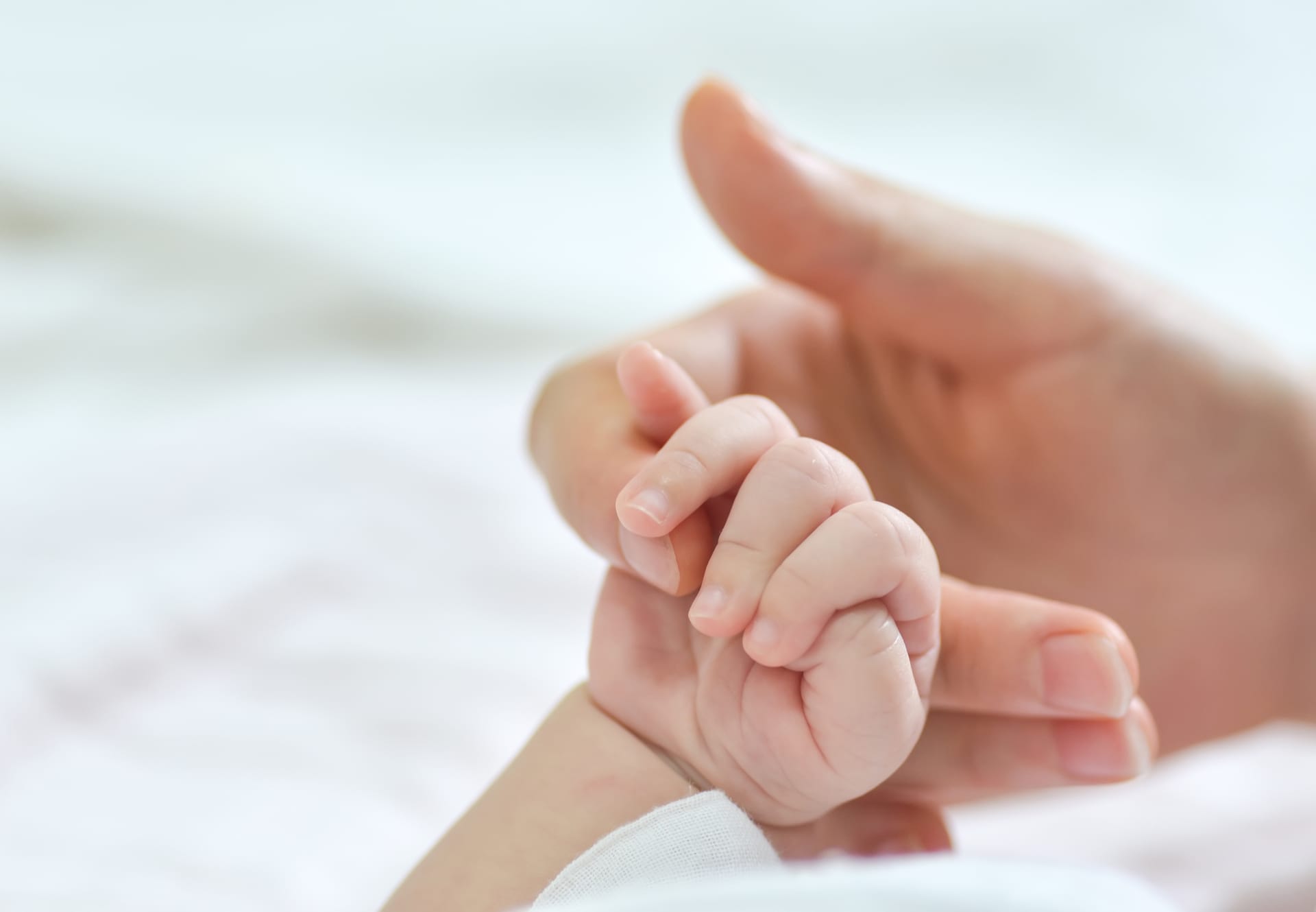 Parent holding a baby's hand